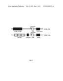 Transgenic non-human animal models of apoptosis-mediated conditions diagram and image