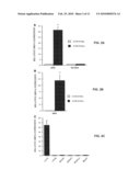 Transgenic non-human animal models of apoptosis-mediated conditions diagram and image