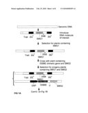 METHODS AND MEANS FOR REMOVAL OF A SELECTED DNA SEQUENCE diagram and image