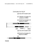 METHODS AND MEANS FOR REMOVAL OF A SELECTED DNA SEQUENCE diagram and image