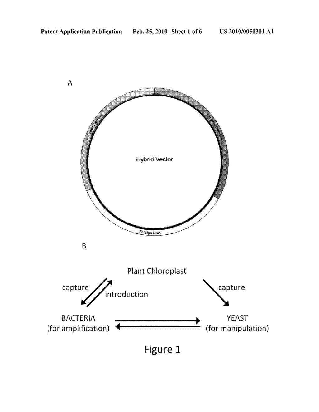 SYSTEM FOR CAPTURING AND MODIFYING LARGE PIECES OF GENOMIC DNA AND CONSTRUCTING VASCULAR PLANTS WITH SYNTHETIC CHLOROPLAST GENOMES - diagram, schematic, and image 02