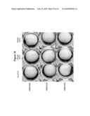 Antimicrobial Agents from Microbial Genomes diagram and image