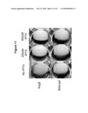 Antimicrobial Agents from Microbial Genomes diagram and image