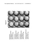 Antimicrobial Agents from Microbial Genomes diagram and image