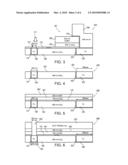 BIOSENSOR CHIP AND A METHOD OF MANUFACTURING THE SAME diagram and image