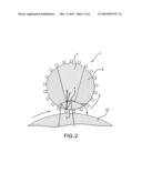 System and method to illuminate and image the inside diameter of a stent diagram and image