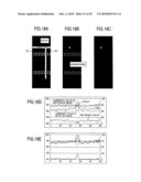 Method and apparatus for pattern inspection diagram and image