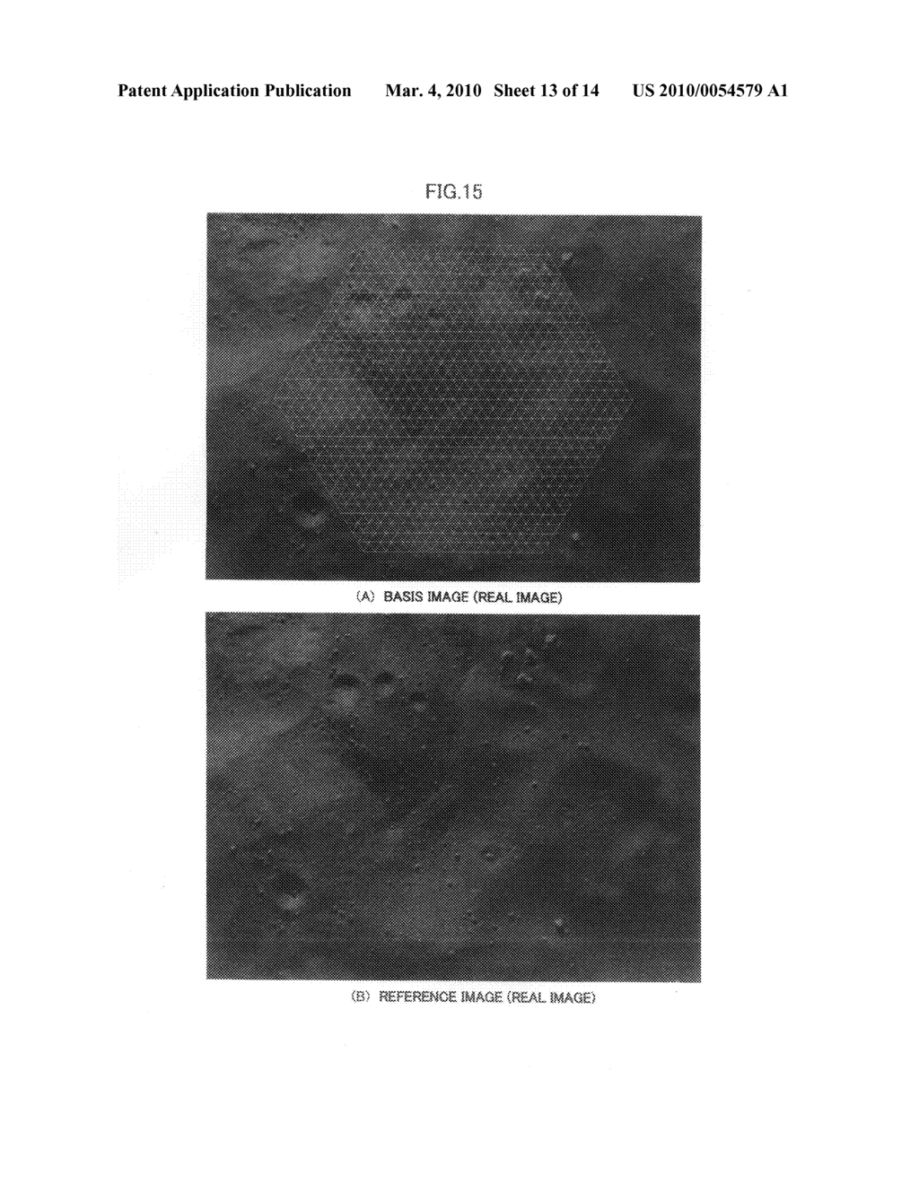 THREE-DIMENSIONAL SURFACE GENERATION METHOD - diagram, schematic, and image 14