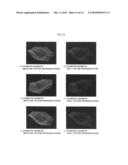 THREE-DIMENSIONAL SURFACE GENERATION METHOD diagram and image