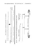 CYTOKINE-BASED FUSION PROTEINS FOR TREATMENT OF IMMUNE DISORDERS diagram and image