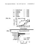 CYTOKINE-BASED FUSION PROTEINS FOR TREATMENT OF IMMUNE DISORDERS diagram and image