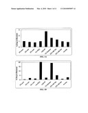 STABLE LYOPHILIZED PHARMACEUTICAL FORMULATION OF IGG ANTIBODIES diagram and image