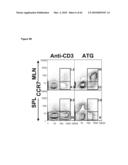 METHODS FOR PREVENTING HEMATOLOGICAL MALIGNANCIES AND GRAFT VERSUS HOST DISEASE BY ANTI-CD3 PRECONDITIONING diagram and image