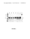 BRACHYSPIRA PILOSICOLI 72kDa OUTER-MEMBRANE PROTEIN AND DIAGNOSTIC AND THERAPEUTIC USES THEREOF diagram and image