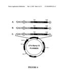 BRACHYSPIRA PILOSICOLI 72kDa OUTER-MEMBRANE PROTEIN AND DIAGNOSTIC AND THERAPEUTIC USES THEREOF diagram and image