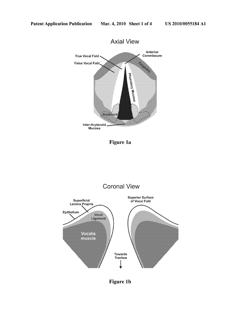 HYDROGELS FOR VOCAL CORD AND SOFT TISSUE AUGMENTATION AND REPAIR - diagram, schematic, and image 02