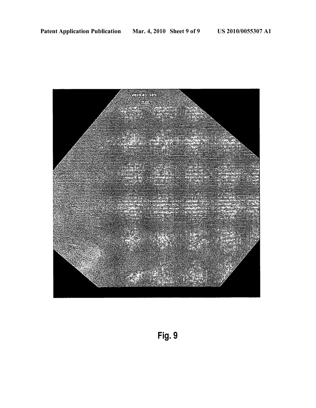 Nanoporous Media with Lamellar Structures - diagram, schematic, and image 10