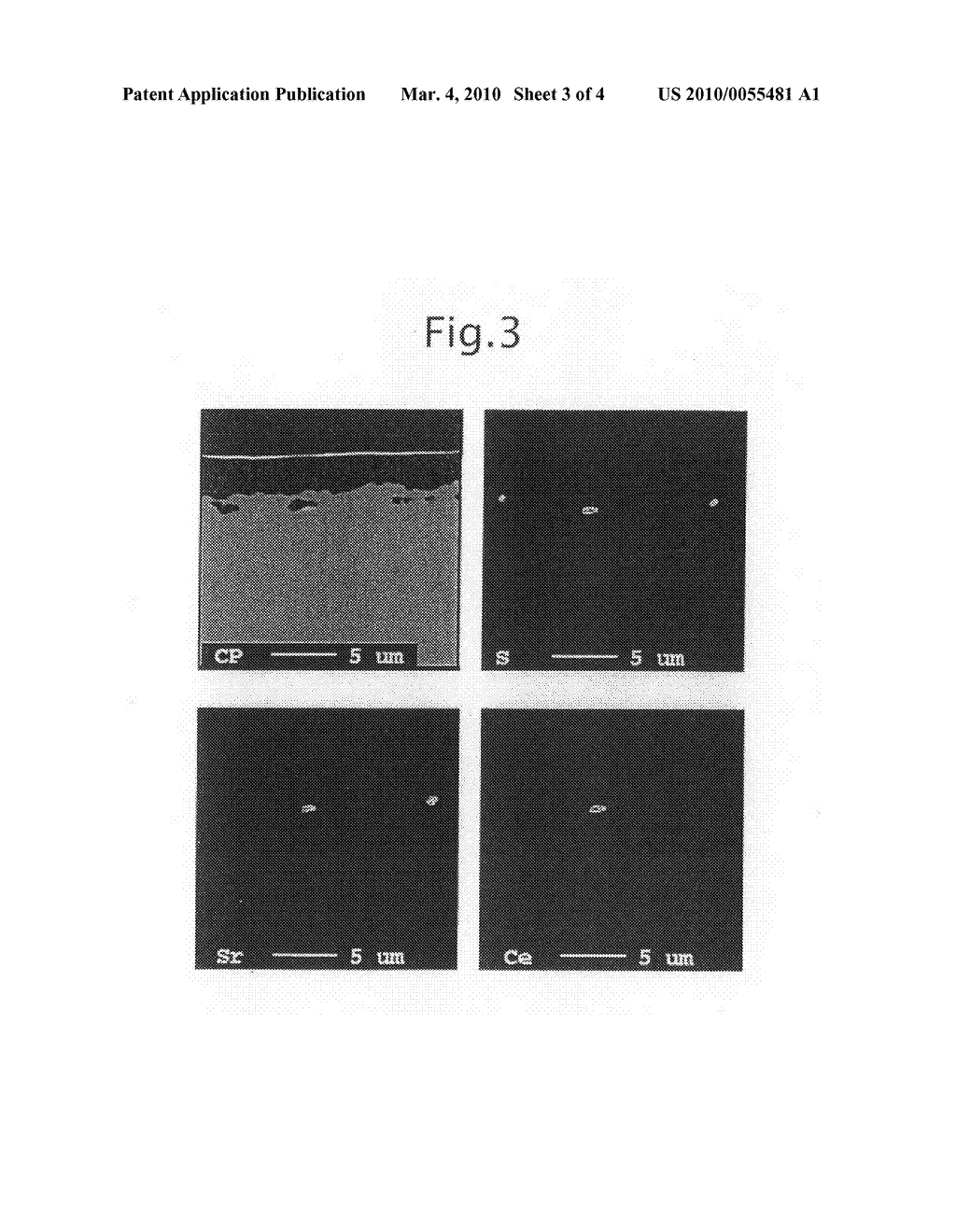 GRAIN-ORIENTED ELECTRICAL STEEL SHEET EXCELLENT IN COATING ADHESION AND METHOD OF PRODUCING THE SAME - diagram, schematic, and image 04