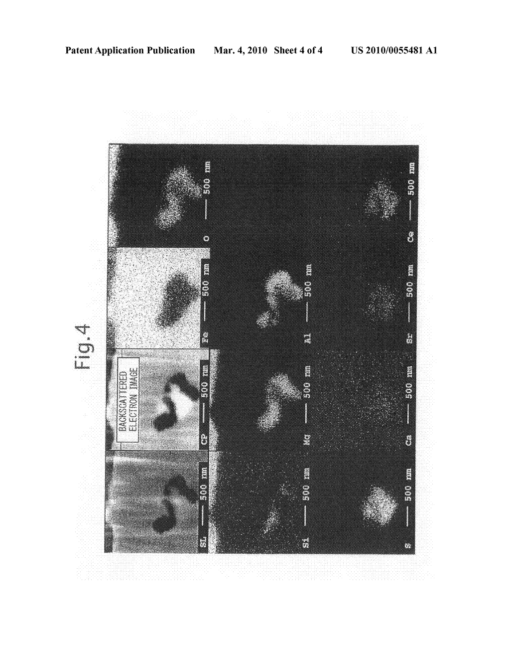GRAIN-ORIENTED ELECTRICAL STEEL SHEET EXCELLENT IN COATING ADHESION AND METHOD OF PRODUCING THE SAME - diagram, schematic, and image 05