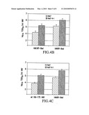 GROWTH OF WILD-TYPE HEPATITIS A VIRUS IN CELL CULTURE diagram and image