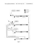 ISOTHERMAL DETECTION METHODS AND USES THEREOF diagram and image