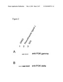 METHODS FOR THE IDENTIFICATION OF PI3K INTERACTING MOLECULES AND FOR THE PURIFICATION OF PI3K diagram and image