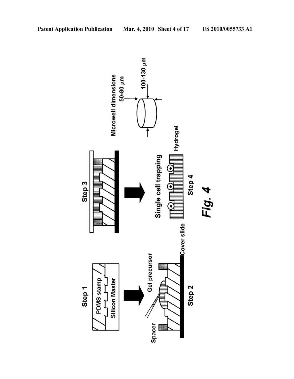 MANUFACTURE AND USES OF REACTIVE MICROCONTACT PRINTING OF BIOMOLECULES ON SOFT HYDROGELS - diagram, schematic, and image 05