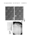 MANUFACTURE AND USES OF REACTIVE MICROCONTACT PRINTING OF BIOMOLECULES ON SOFT HYDROGELS diagram and image