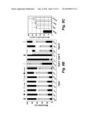 MANUFACTURE AND USES OF REACTIVE MICROCONTACT PRINTING OF BIOMOLECULES ON SOFT HYDROGELS diagram and image