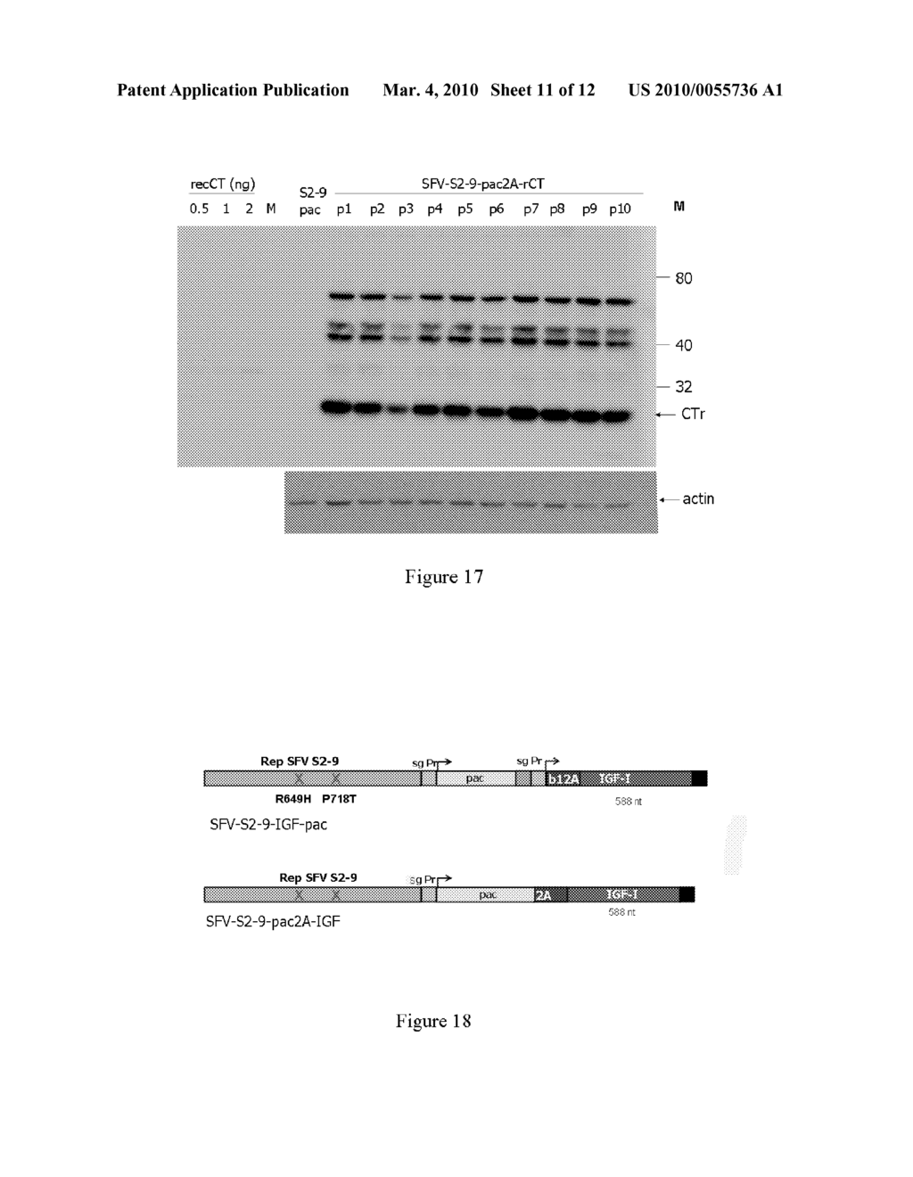 VIRAL VECTOR AND USES THEREOF - diagram, schematic, and image 12