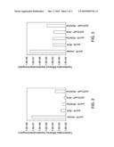 DNA MINI-CIRCLES AND USES THEREOF diagram and image