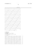 KETOREDUCTASE POLYPEPTIDES AND USES THEREOF diagram and image