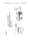 METHODS, COMPOSITIONS, AND KITS FOR THE SELECTIVE ACTIVATION OF PROTOXINS THROUGH COMBINATORAL TARGETING diagram and image