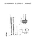 METHODS, COMPOSITIONS, AND KITS FOR THE SELECTIVE ACTIVATION OF PROTOXINS THROUGH COMBINATORAL TARGETING diagram and image