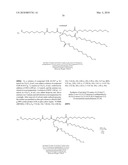 METHODS, COMPOSITIONS, AND KITS FOR THE SELECTIVE ACTIVATION OF PROTOXINS THROUGH COMBINATORAL TARGETING diagram and image