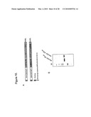 METHODS, COMPOSITIONS, AND KITS FOR THE SELECTIVE ACTIVATION OF PROTOXINS THROUGH COMBINATORAL TARGETING diagram and image