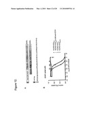 METHODS, COMPOSITIONS, AND KITS FOR THE SELECTIVE ACTIVATION OF PROTOXINS THROUGH COMBINATORAL TARGETING diagram and image