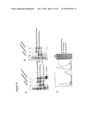 METHODS, COMPOSITIONS, AND KITS FOR THE SELECTIVE ACTIVATION OF PROTOXINS THROUGH COMBINATORAL TARGETING diagram and image