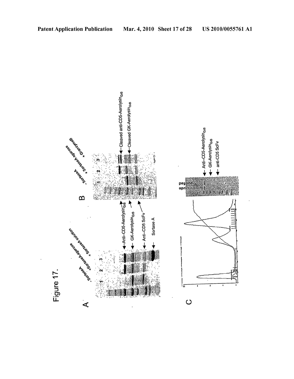 METHODS, COMPOSITIONS, AND KITS FOR THE SELECTIVE ACTIVATION OF PROTOXINS THROUGH COMBINATORAL TARGETING - diagram, schematic, and image 18