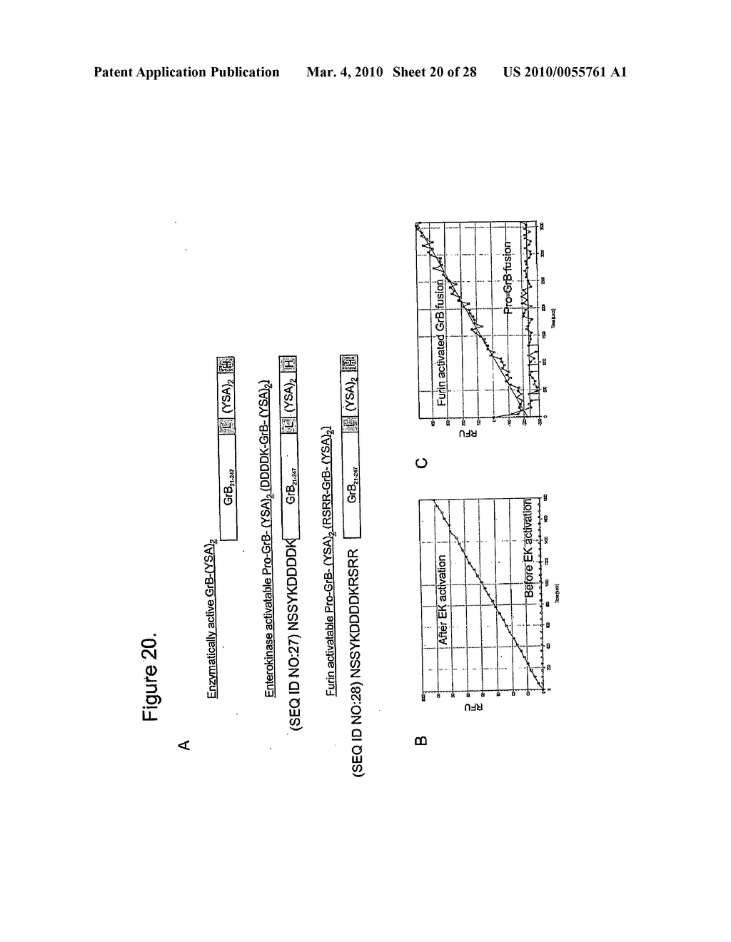 METHODS, COMPOSITIONS, AND KITS FOR THE SELECTIVE ACTIVATION OF PROTOXINS THROUGH COMBINATORAL TARGETING - diagram, schematic, and image 21