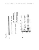 METHODS, COMPOSITIONS, AND KITS FOR THE SELECTIVE ACTIVATION OF PROTOXINS THROUGH COMBINATORAL TARGETING diagram and image