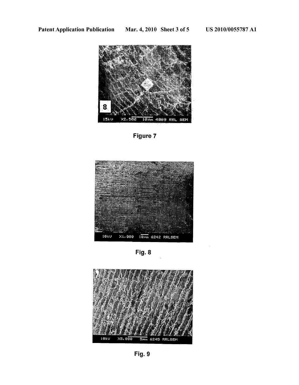 IN-VITRO PEARL PRODUCTION USING MARINE ORGANISMS - diagram, schematic, and image 04