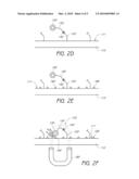 METHOD AND APPARATUS FOR DETECTING MOLECULES diagram and image