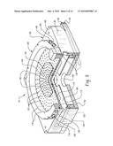 PLASMA ASHING APPARATUS AND ENDPOINT DETECTION PROCESS diagram and image