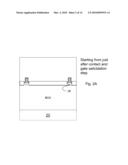 INTEGRATION CMOS COMPATIBLE OF MICRO/NANO OPTICAL GAIN MATERIALS diagram and image