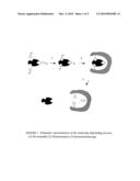 Molecularly Imprinted Microspheres Prepared Using precipitation Polymerisation diagram and image