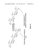 N-TERMINAL DERIVATISATION OF PROTEINS WITH POLYSACCHARIDES diagram and image