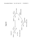 N-TERMINAL DERIVATISATION OF PROTEINS WITH POLYSACCHARIDES diagram and image