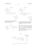 TEMPLATE-FIXED PEPTIDOMIMETICS WITH ANTIBACTERIAL ACTIVITY diagram and image