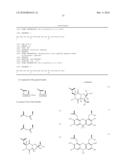 TEMPLATE-FIXED PEPTIDOMIMETICS WITH ANTIBACTERIAL ACTIVITY diagram and image